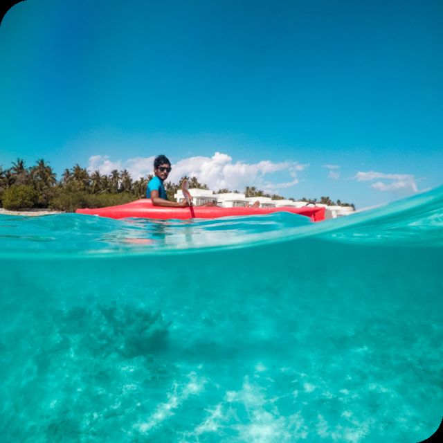 St. Petersburg, FL: Weedon Island Kayak Tour - Explore Mangrove Tunnels