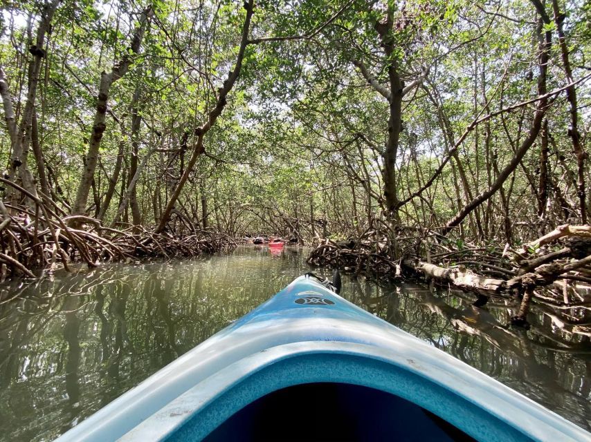 St. Petersburg, FL: Weedon Island Kayak Tour - Frequently Asked Questions
