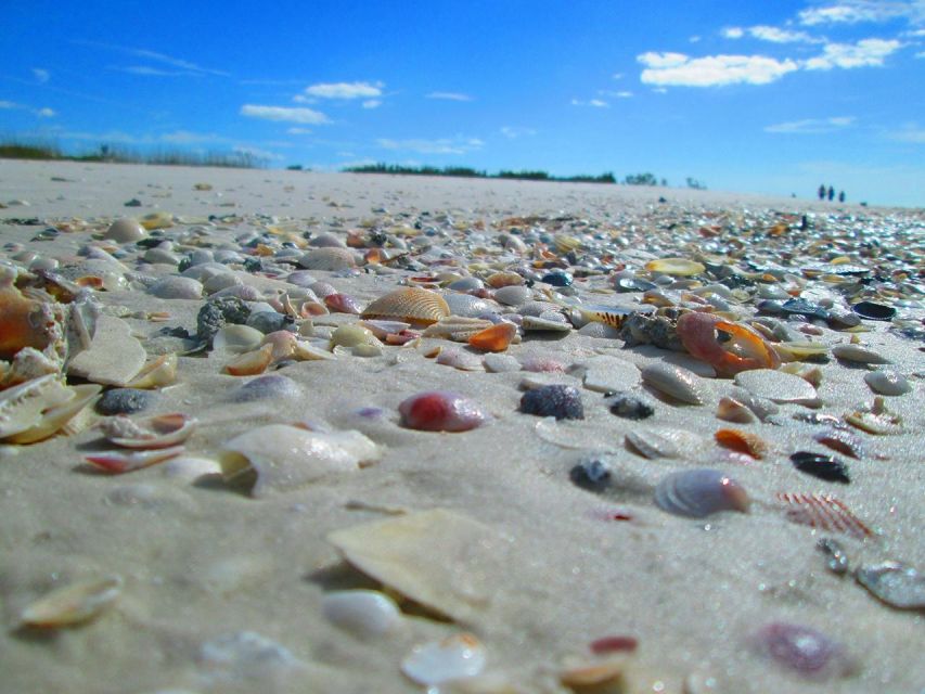 St. Petersburg, Florida: Private 4-Hour Beach Tour - Tour Inclusions