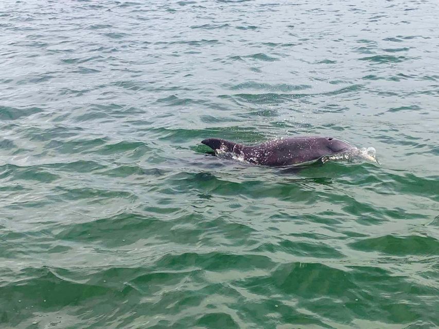 St. Petersburg, Florida: Private 4-Hour Beach Tour - Recap