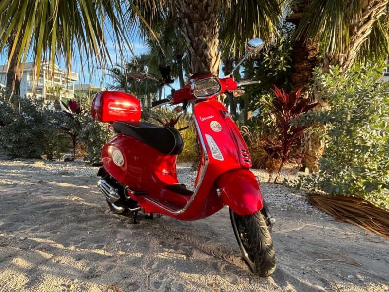 St. Petersburg: Guided Vespa Beach Tour With Curated Stops - Why This Tour Offers Great Value