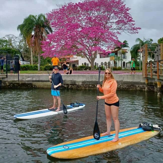 St. Petersburg: Paddle Board Tour with Wildlife Spotting - An Authentic Florida Experience on the Water