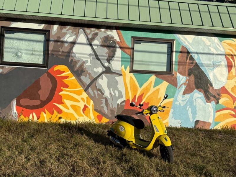 St. Petersburg: Vespa Mural Tour with Guide - The Sum Up