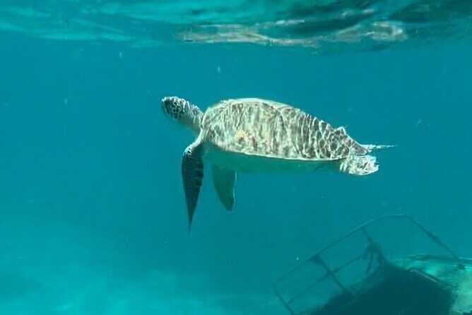 St Thomas - Jeep Tour Customized Itinerary 5hrs - Transportation and Group Size