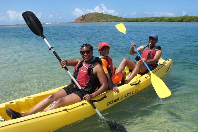 St Thomas Mangrove Lagoon Kayak and Snorkel Tour in the US Virgin Islands - Kayaking Through the Channels