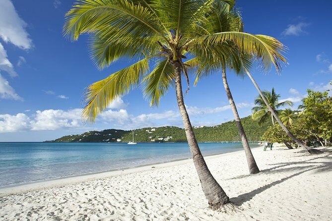 St Thomas Private Group Tour (11 or more ppl) - A Closer Look at What This Tour Offers