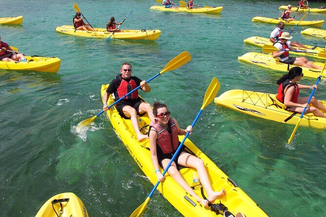 St Thomas Shore Excursion: Mangrove Lagoon Kayak and Snorkel Tour - An In-Depth Look at the Tour Experience