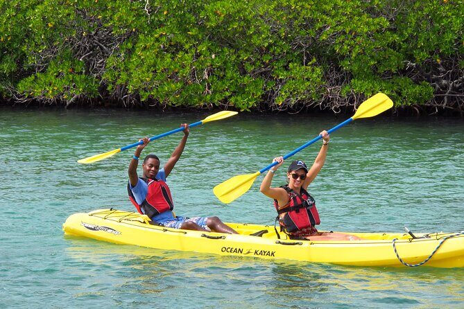 St Thomas Shore Excursion: Mangrove Lagoon Kayak and Snorkel Tour - Final Thoughts