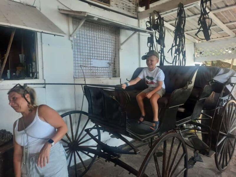 St. Vincent: Leeward Island Tour with Dark View Falls - Key Points