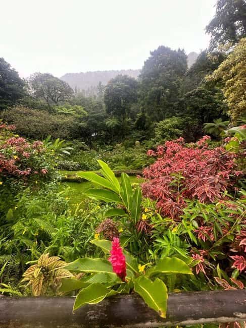 St Vincent: Montreal Gardens, Botanical Gardens & Fort Tour - Key Points