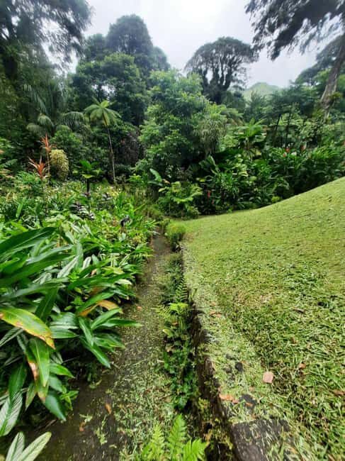 St Vincent: Montreal Gardens, Botanical Gardens & Fort Tour - Who Will Love This Tour?