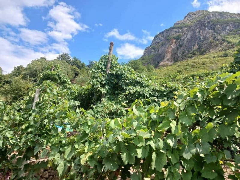Stairway to Heaven ! Peacefull Guest House near the center ! - Key Points