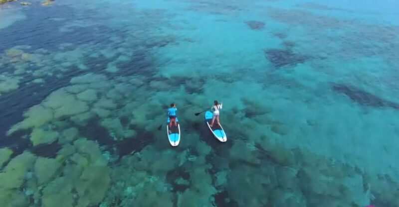 Stan Up Paddle Tour - Pricing and Reservations