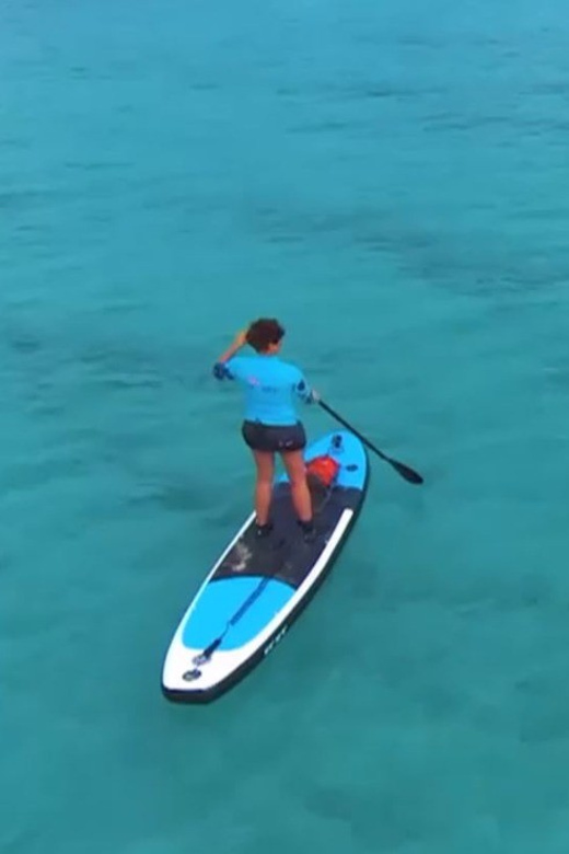 Stan Up Paddle Tour - Tour Experience