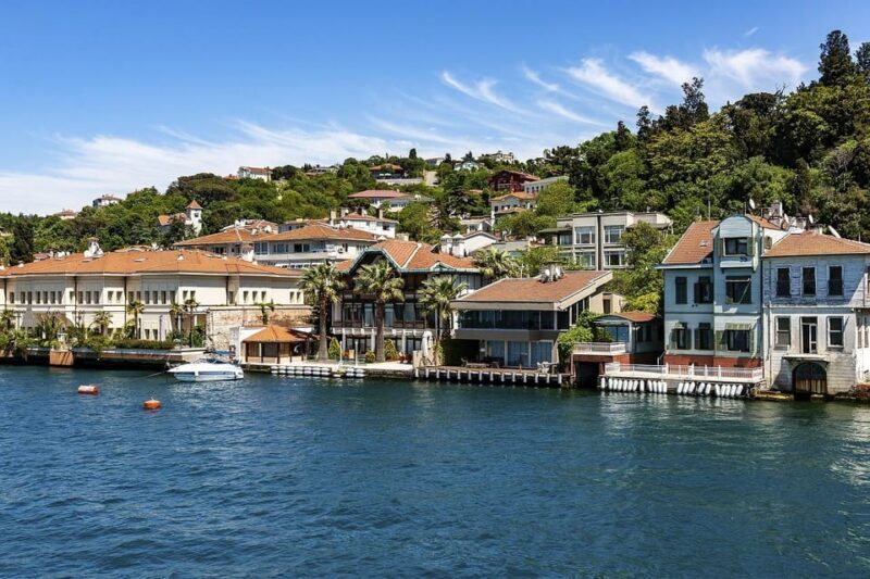 stanbul: Afternoon Bosphorus and Black Sea Cruise - An Overview of the Experience