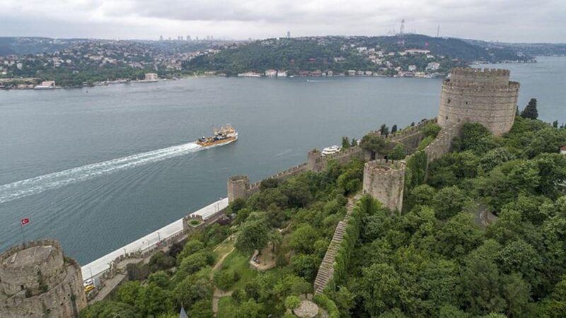 stanbul: Afternoon Bosphorus and Black Sea Cruise - Authentic Insights from Other Travelers