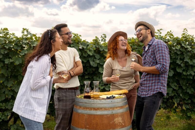 Stancija Collis: A Winery adventure in Rovinj - What the Tour Entails: Breakdown of the Itinerary