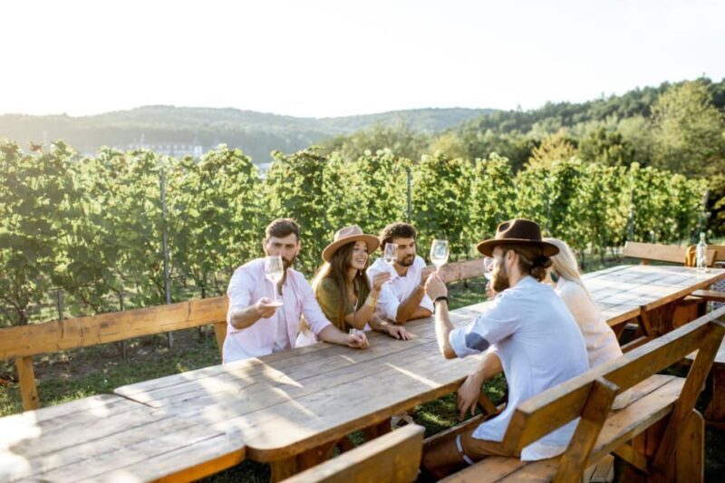 Stancija Collis: A Winery adventure in Rovinj - Who Will Love This Tour?