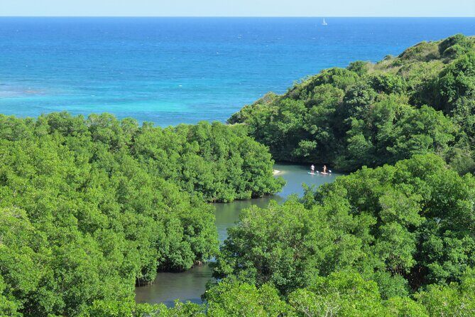 Stand Up Paddle Adventure in Guadeloupe - FAQ