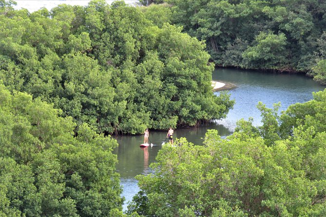 Stand Up Paddle Adventure in Guadeloupe - Meeting and Transportation