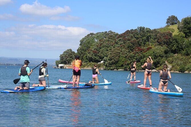 Stand Up Paddle Board Adventure in Mount Maunganui - Final Thoughts: Is It Worth It?