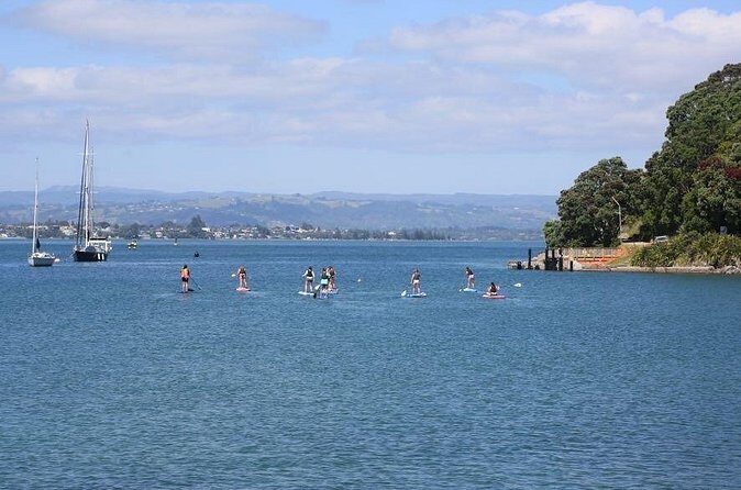 Stand Up Paddle Board Adventure in Mount Maunganui - FAQ