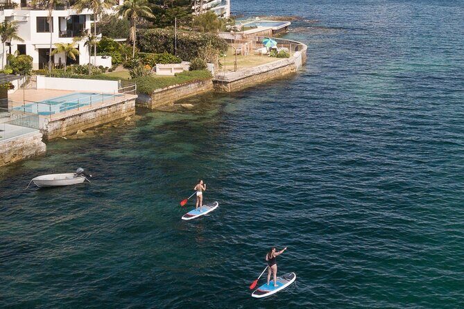 Stand Up Paddle Board Hire - 2 Hours - What to Expect from This SUP Hire Experience