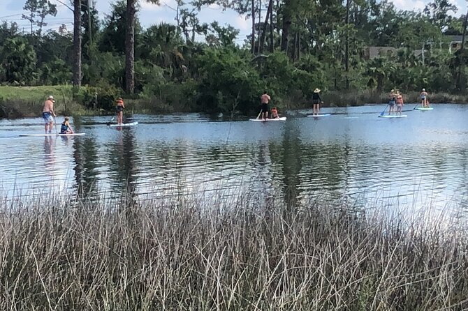 Stand Up Paddle Board Lesson in Panama City Florida - Wildlife and Landmarks