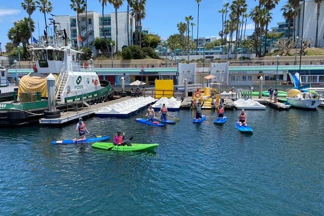 Stand Up Paddle Board Redondo Beach - Essential Equipment for Paddle Boarding