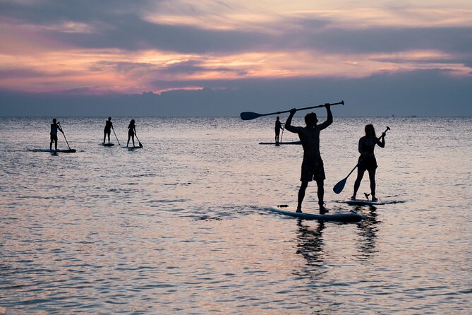 Stand Up Paddle Boarding Adventure in Pula - Experience Highlights