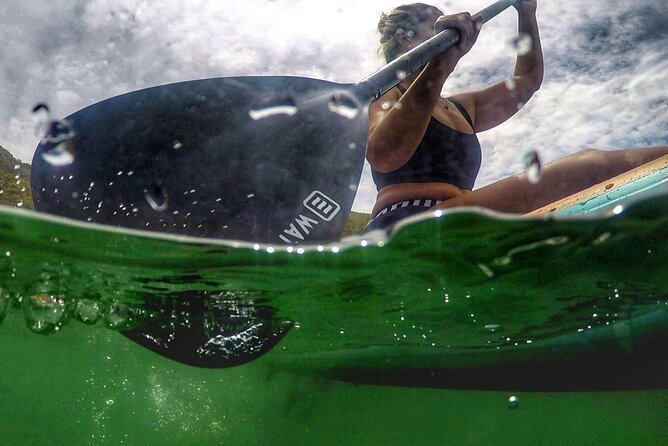 Stand up Paddle Experience at Lagos Do Sabor - Opportunity to Spot Wildlife