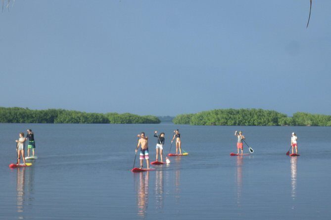 Stand up paddle in paradise - An introduction to Stand up paddle in paradise