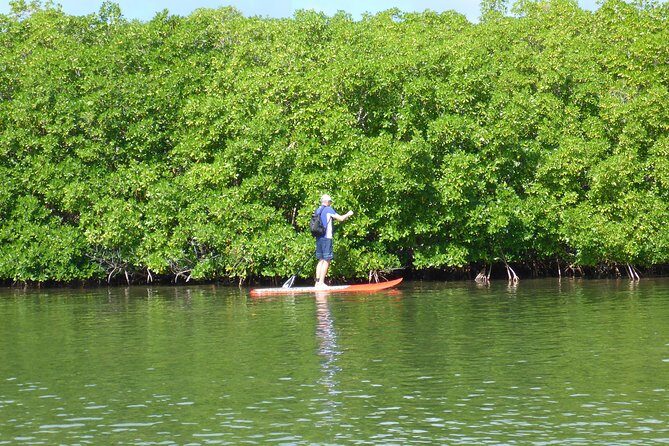 Stand up paddle in paradise - What travelers say