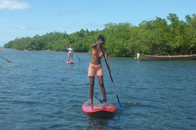 Stand up paddle in paradise - The practical details