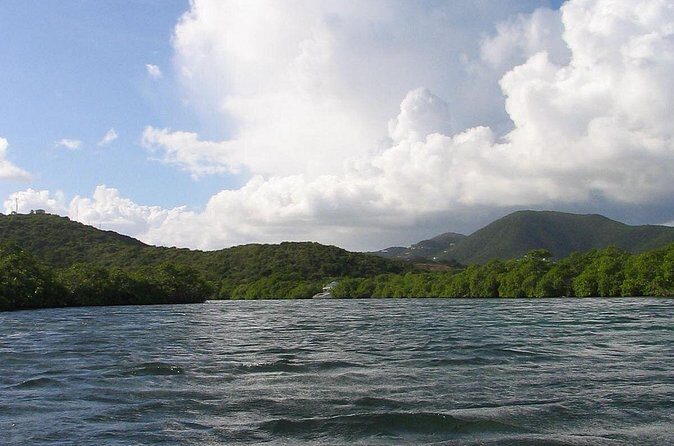 Stand Up Paddleboard Rental in St Thomas - Who Will Love This Experience?