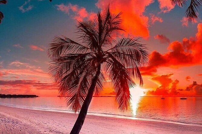 standard and premium transfer from punta cana airport to las terrenas - Who Will Appreciate This Service?