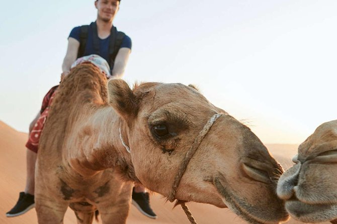 Standard Dubai 4x4 Desert Safari - Sunset & BBQ Dinner - Cultural Entertainment and Activities