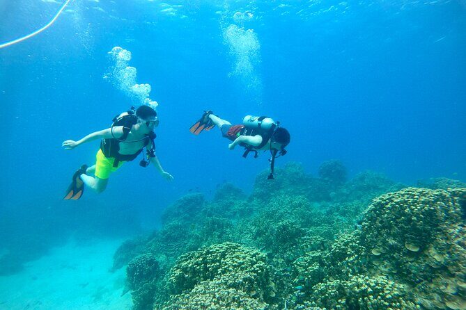 StandUp PaddleBoard Lesson and Experience Scuba Diving Package! - An In-Depth Look at the Guam Water Adventure