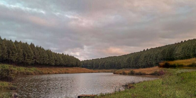 Stanford Lake Lodge Magoebaskloof: Accommodation - Surrounding Environment