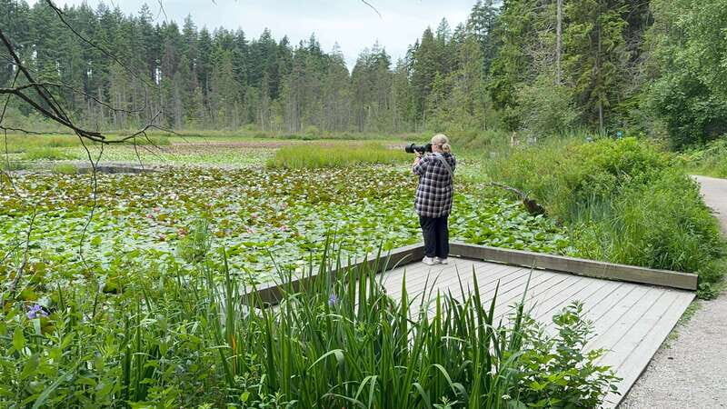 Stanley Park EUC & E-scooters loop tour - Starting Point: Vancouver Seawall & Downtown Views