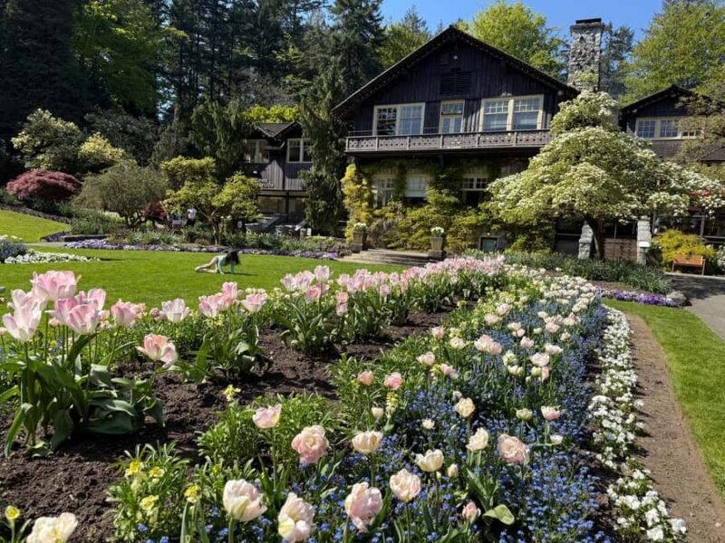 Stanley Park Tour by Car:Small Group Value,See More,Pay Less - Why It’s a Great Choice for Certain Travelers