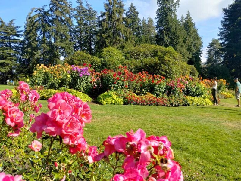 Stanley Park Tour by Car:Small Group Value,See More,Pay Less - The Sum Up