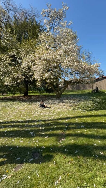 Stanley Park Tour by Car:Small Group Value,See More,Pay Less - FAQ