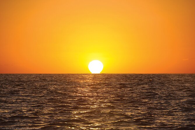 Star Casual Sunset and Show Cruise - Guest Reviews and Insights