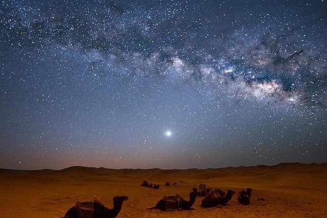 Star Gazing Safari Tour by ATV Quad, Bedouin Dinner, Telescope - Sharm El Sheikh - Good To Know