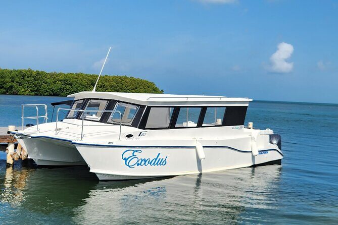 Starfish Encounter & Mangrove Exploration in Grand Cayman - Key Points