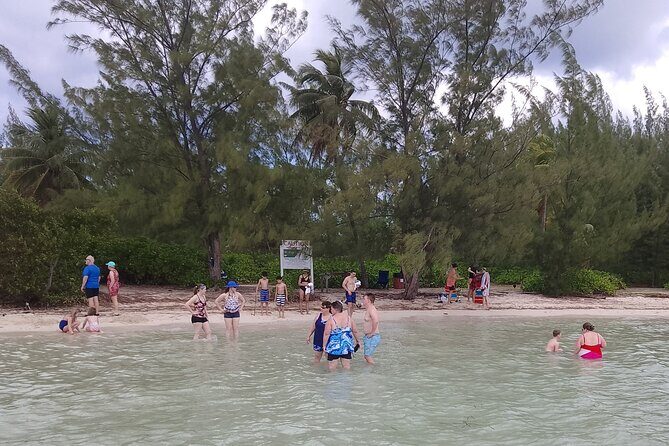 Starfish Encounter & Mangrove Exploration in Grand Cayman - Final Thoughts: Is This Tour Worth It?