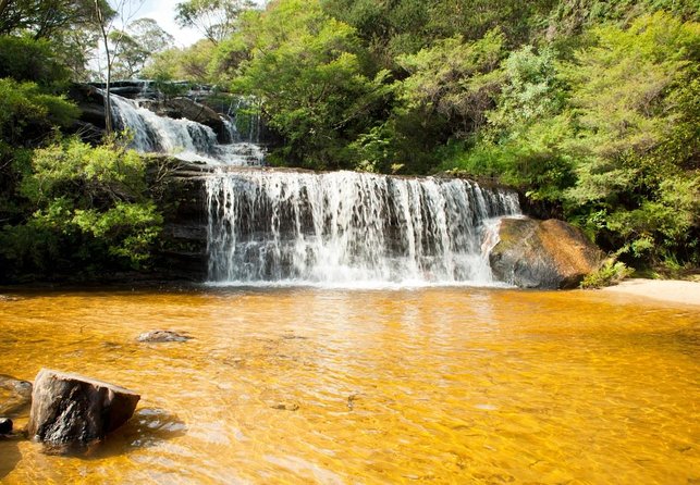 Stargazing With an Astronomer in the Blue Mountains - Participant Reviews