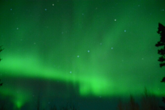 Starlight Snowshoe Adventure in Alaska - Booking Your Starlight Snowshoe Adventure