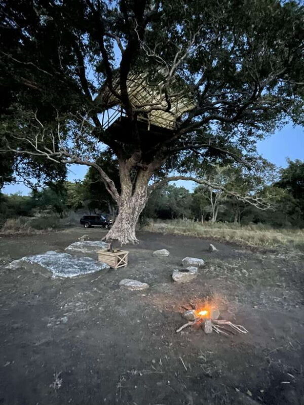 Starlit Escape: Stargazing from a tree hut in Sigiriya - An Experience That Combines Adventure and Authenticity